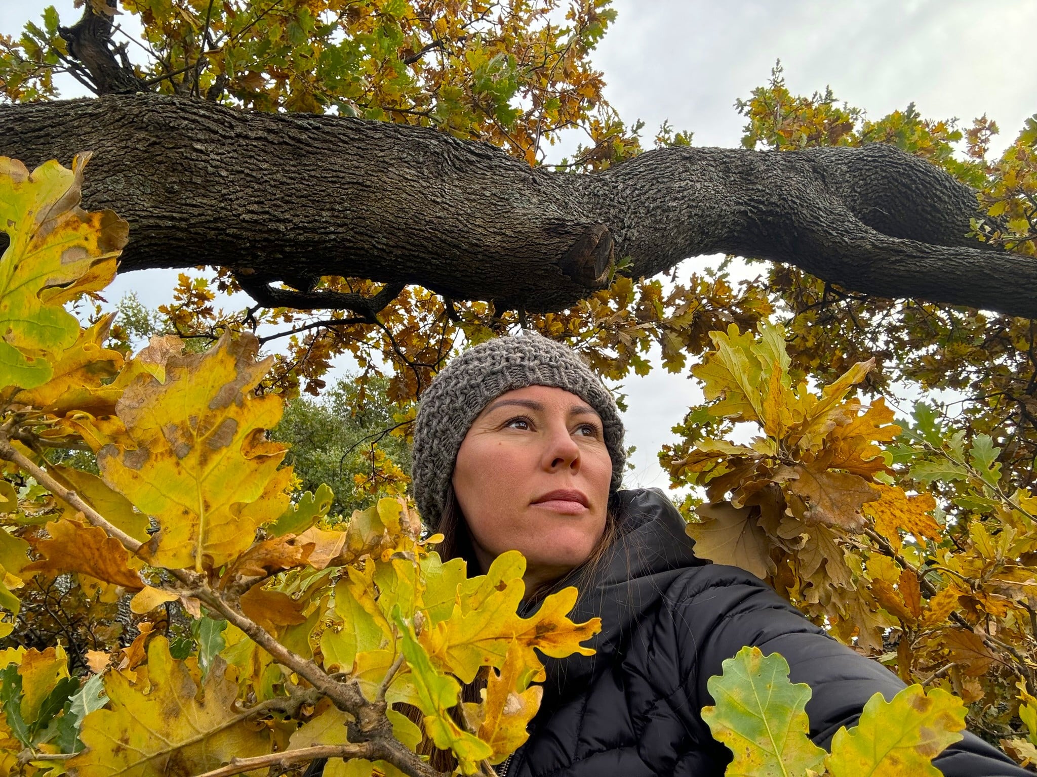 Melina Jurčić Melinadigital Foto